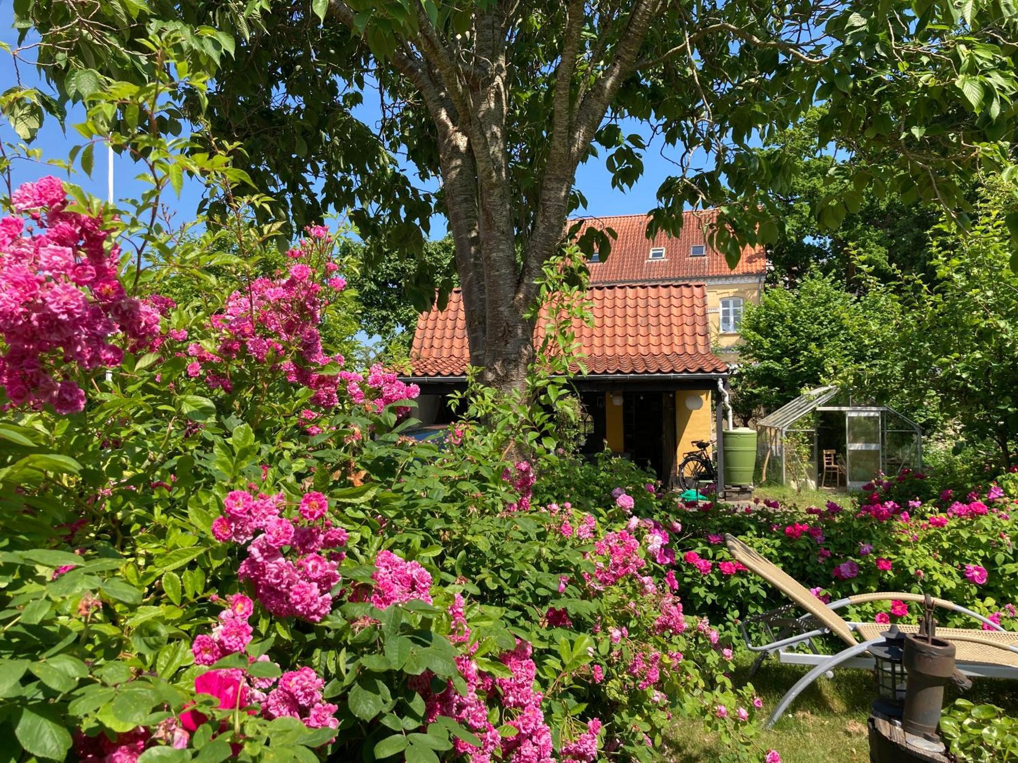 Den Gamle Skomager Hytte Ved Slotssoen Gråsten Exteriör bild